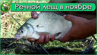 Ловля в ноябре на фидер