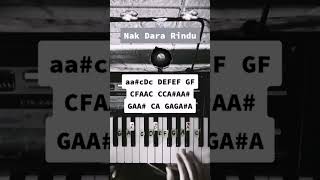 Download lagu Tutorial 233 | Nak Dara Rindu. 🎹 #pianotutorial #suffixpiano #bujanglapok #pramlee #nakdararindu mp3