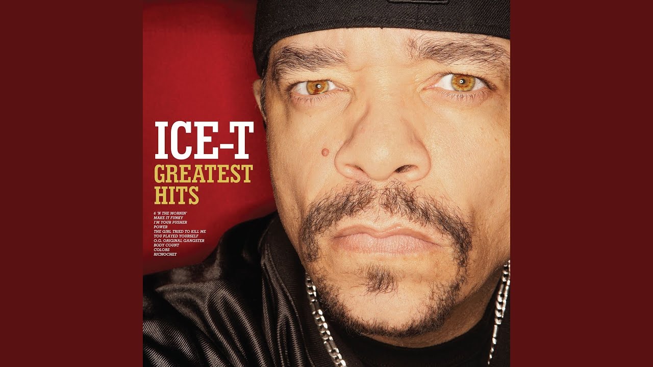 Ice-T - You Played Yourself