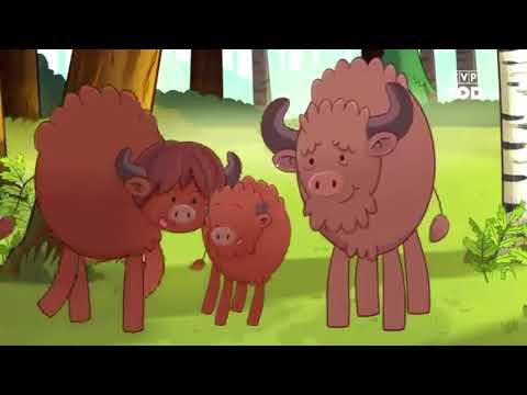 Żubr Pompik - Duże i Małe [2018]