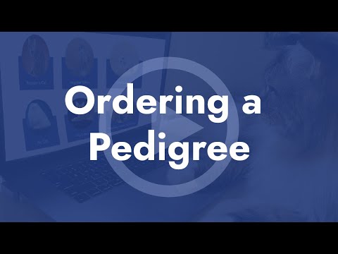 Ordering a Pedigree