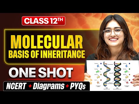 Molecular Basis Of Inheritance Class 12 🔥 | NCERT + PYQs | Biology Chapter 6 by Aarushi Ma'am