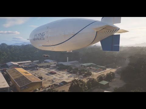FLYING WHALES, a game changer for cargo mobility