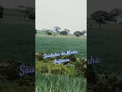 região de Monte Aprazível SP