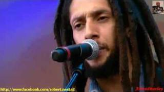 Julian Marley -Positive Vibration-  Summerjam 2010 -