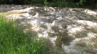 preview picture of video 'Fluss Urnäsch bei Urnäsch'