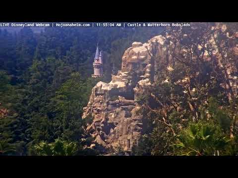 Live webcam of Disneyland Cam