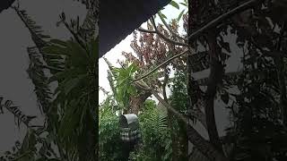 Download lagu BALI TERKINI: Cuaca Ekstrim Denpasar area mp3 Download lagu BALI TERKINI: Cuaca Ekstrim Denpasar area mp3