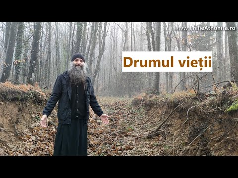 Drumul vieții - p. Pimen Vlad