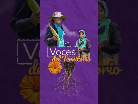 Voces del Territorio | ¿Sabías todo el esfuerzo que hay detrás de la recolección de la piangua?
