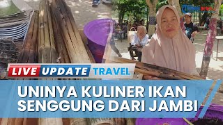 Wijib Cicipi! Kuliner Tradisional Ikan Senggung Khas Jambi yang Jarang Dijumpai di Tengah Masyarakat