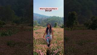 Exploring DA LAT Vietnam's Hidden Gems!