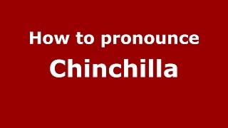 How to pronounce Chinchilla