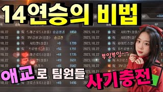 골드구간 14연승 비법