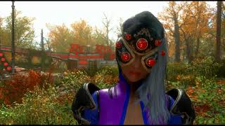 FO4 Widowmaker's armor