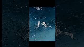 Download lagu Cuman instrumen guruku tersayang 😀 mp3