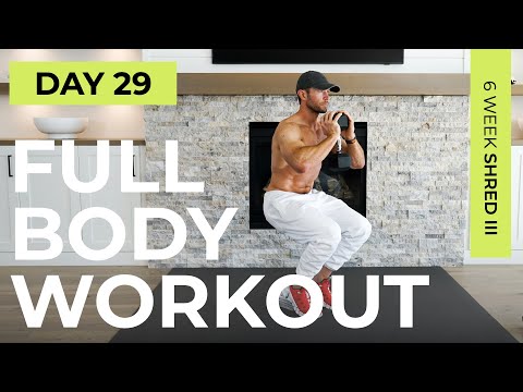 Day 29: 30 Min FULL BODY Dumbbell Workout [Complete Workout] // 6WS3
