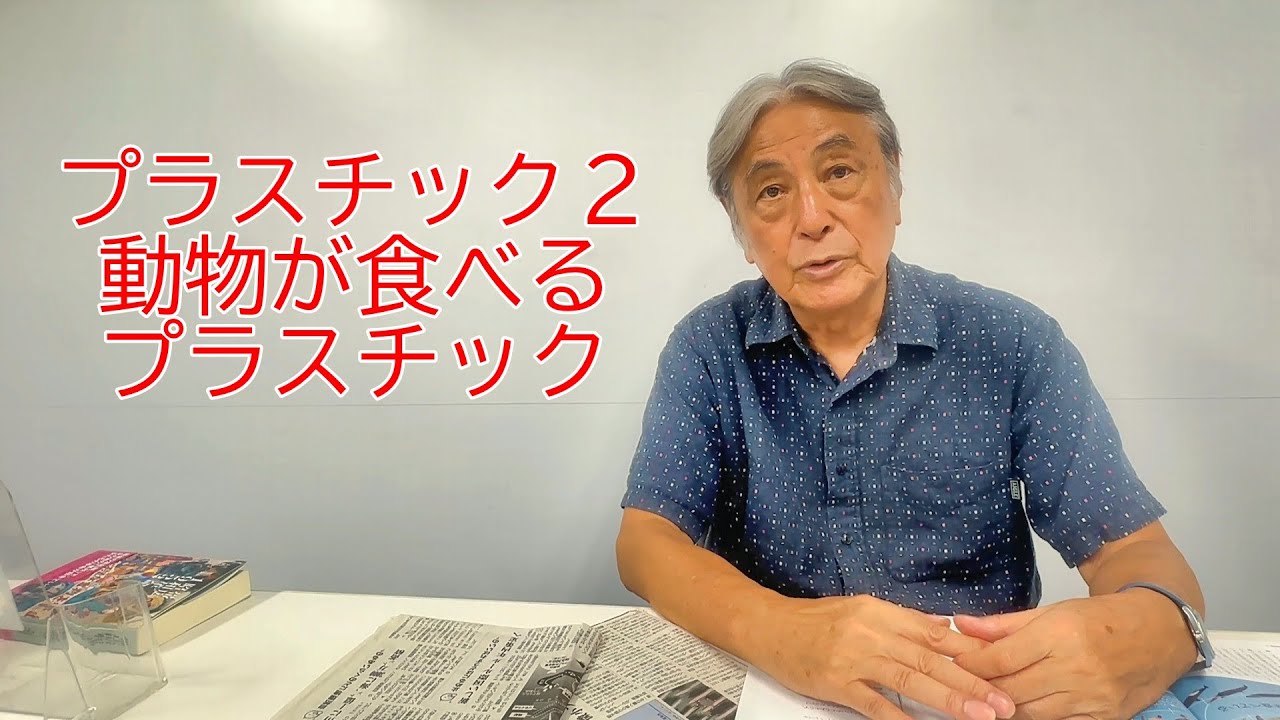 大嶋図解プラスチック２動物が食べるプラスチック完成