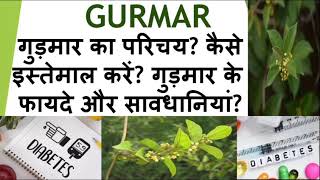 introduction of Gurmar? how to use it? benefits & precautions of #Gurmar? #fitworldhealthcare 😊💪🧘‍♂️