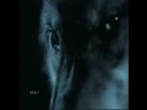 Boris Novkovič - Vukovi umiru sami