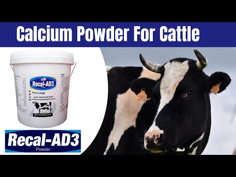 Calcium Powder For Cow and Farm Animals - Cattle Feed Supplements - Recal-AD3, 1 Kg