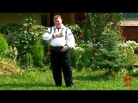 Dan Suciu - Eu din sat cand am plecat