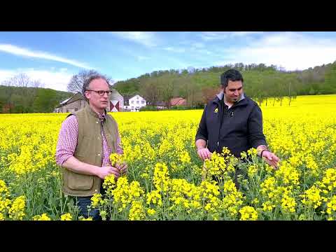 Rapsprofis aus der Praxis - zu Gast bei Thinus Glitz in Ostwestfalen Teil 2