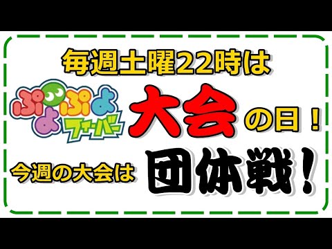 【フィバ団体戦】1ヶ月ぶりだし通常ルールでのびのび遊ぶよ！