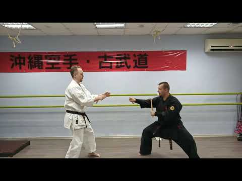 Sansetsukon (kun) nunchaku / Сансэцукон (сансэцу нунтяку) bunkai application