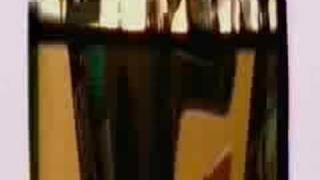 The Hippos - Wasting My Life (music video)