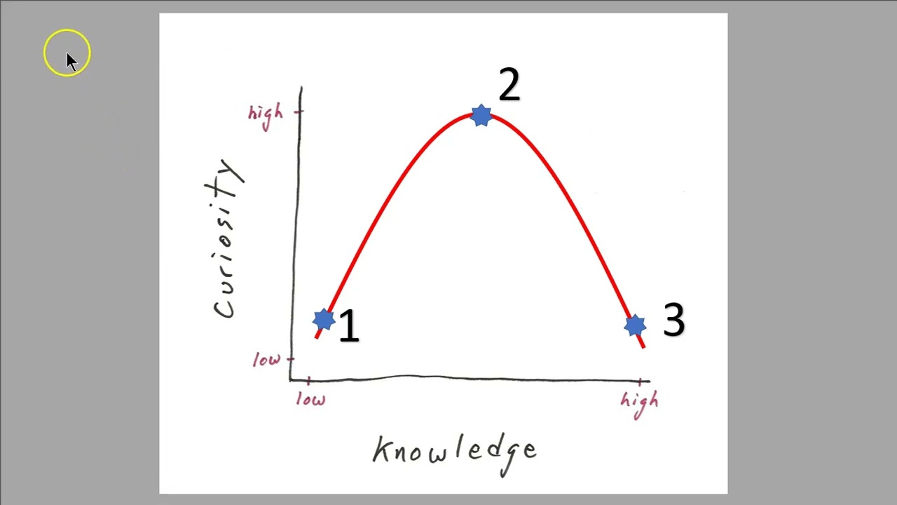 Psychology of Curiosity
