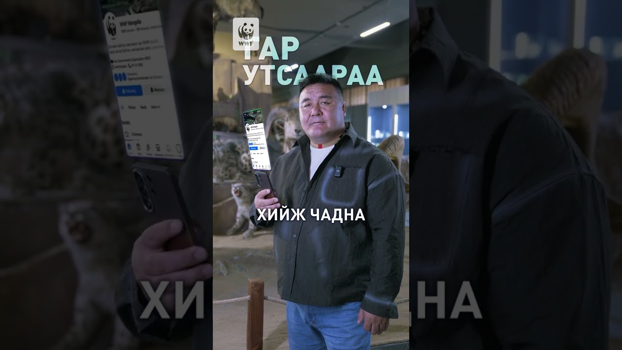 Ирвэсийг хамгаалах үйлсэд нэгдэцгээе