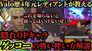 ヴァロラント初心者のための隠れOPキャラ「ゲッコー」の強力な使い方講座！（ディジーを当てるコツ、ウィングマンの使い方、ULTの必須テクニック）【元レディアント・元なにわのイモータルキングが解説】