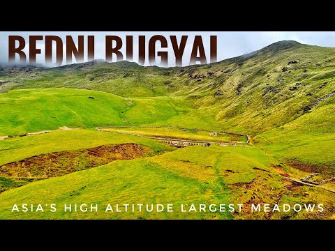 Bedni Bugyal | Ali Bedni Bugyal | Asia’s High Altitude Largest Meadows