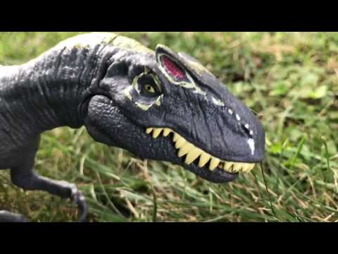 Allosaurus Vs Ceratosaurus