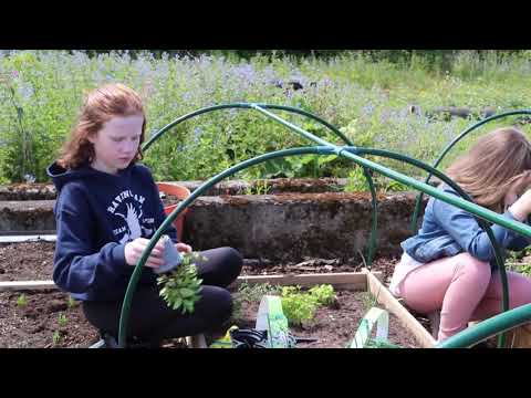 Growing Together Pilot