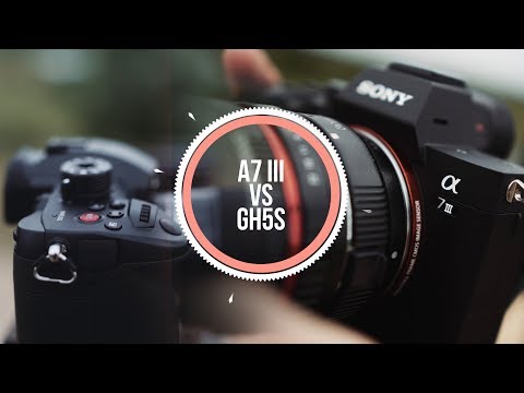 Sony A7III vs Panasonic GH5s Details, DOF, Slow-mo 4k