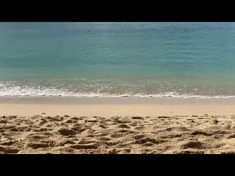Videos del Cocos Antigua 4★ en Bolans, Antigua y BarbudaVer MásVerPrecios15CerrarConsulta por Whatsapp 🇦🇷BookingTripadvisorExpediaAgodaTravelocityOrbitzPricelineTripSkyscannerKayakHotelesTrivagoLastminuteHotwireTui