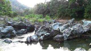 preview picture of video 'La Ozama river River (near Serralles Yamasa Dominican Republic)'