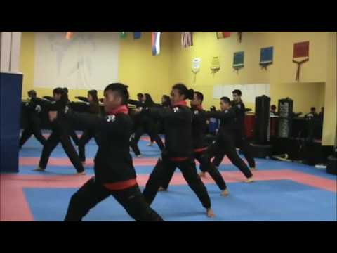 ITF Team Canada Taekwon-Do Video - Canadian Taekwon-Do Alliance