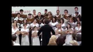 Carmen manet &amp; Männerstimmen Basel - Josef Gabriel Rheinberger: Kyrie (Cantus Misse)