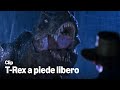 IL T REX SCAPPA DAL PADDOCK Jurassic Park
