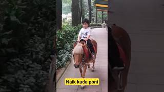 Download lagu naik kuda poni mp3 Download lagu naik kuda poni mp3