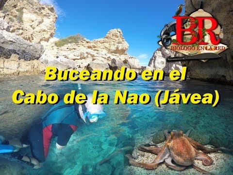 Buceando en el Cabo de la Nao (Jávea, Alicante)