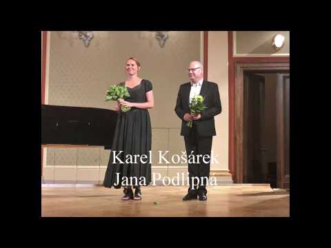 Music festival EVERLASTING HOPE 2018