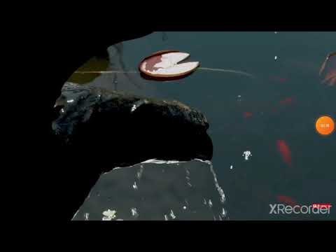 Cristãos Mundanos- Jovem cristão