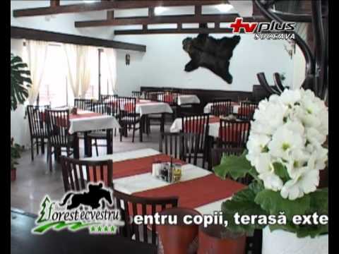 Forest Ecvestru Park Sucevita