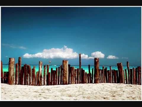 Michael Angelo vs. Leona Lewis - Disconnected -Bleeding Love (Myon & Shane 54 Mashup)