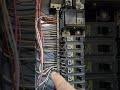 Many People Don T Know This Neutral And Ground Are Connected In Your Breaker Box