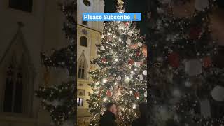 Christmas tree | Christmas market bratislava slovakia #shorts #christm